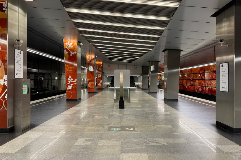 Станция Мичуринский проспект, общий вид