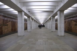 Станция Царицыно, общий вид
