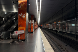 Станция Мичуринский проспект, платформа