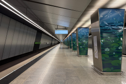 Станция Озёрная, общий вид