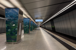 Станция Озёрная, общий вид