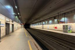 Станция Площадь Гагарина, платформа